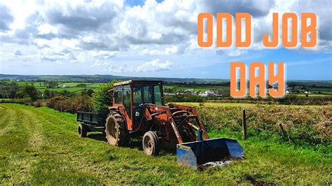 Odd jobs Day! .